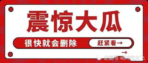 娱乐吃瓜汇总,揭秘明星幕后故事