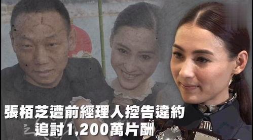 人类吃瓜娱乐,揭秘人类吃瓜娱乐背后的文化现象