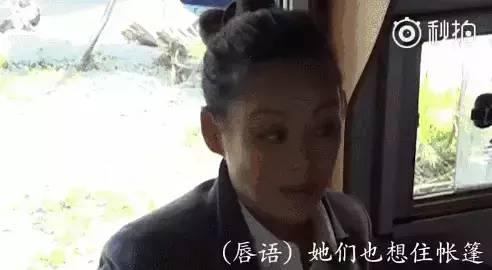 女星互撕娱乐圈吃瓜,女星互撕大战，吃瓜群众围观