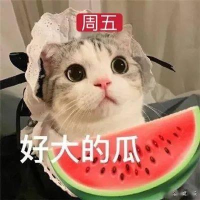 娱乐吃瓜网名大全男女生,男女明星个性网名大揭秘