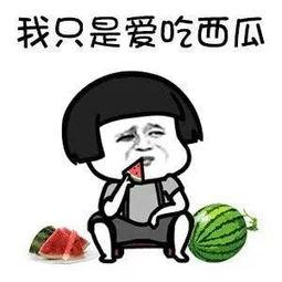 娱乐吃瓜酱好运,揭秘明星幕后故事，带你领略娱乐圈的神秘魅力