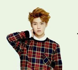 娱乐吃瓜鹿晗,娱乐界的瓜王，揭秘明星背后的故事