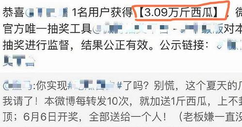 娱乐吃瓜酱如何背书,轻松背书，趣味学知识