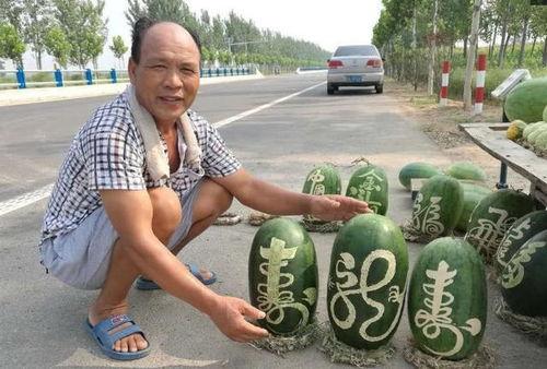 娱乐吃瓜菌人人有苦衷,人人有苦衷，吃瓜菌带你探秘幕后真相