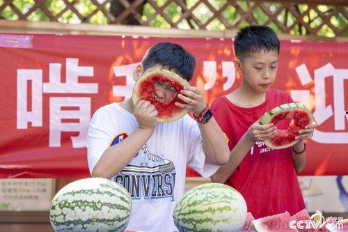 扎西枫丹娱乐吃瓜作品,揭秘娱乐圈背后的“吃瓜”故事