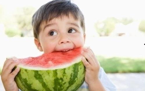 娱乐吃瓜宠物小说,娱乐圈宠物的甜蜜日常